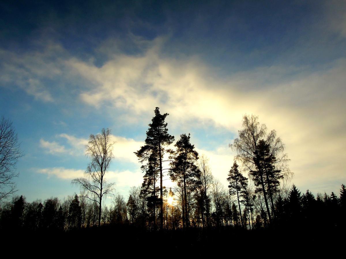De Vrolijcke Bosmuis Bed & Breakfast แบร์คเอค ภายนอก รูปภาพ