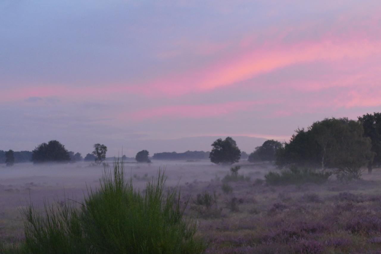 De Vrolijcke Bosmuis Bed & Breakfast แบร์คเอค ภายนอก รูปภาพ